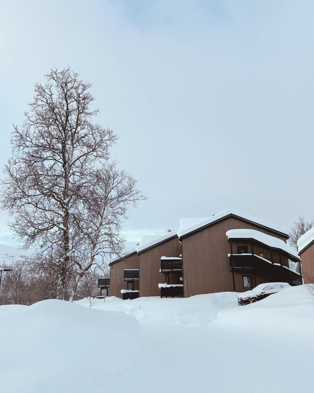 Skaidi Luxury Lodge - Heart Of The Arctic Hammerfest Exterior photo